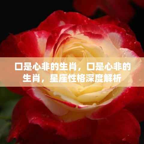 口是心非的生肖与星座性格深度解析