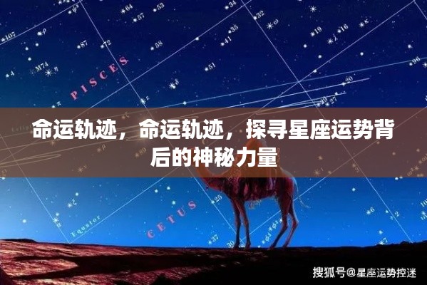 探寻星座运势背后的神秘力量,命运轨迹解析
