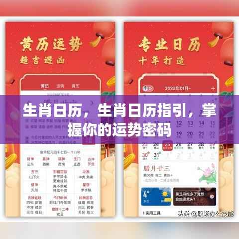 生肖日历指引,解锁你的运势密码,掌握每日运势变化