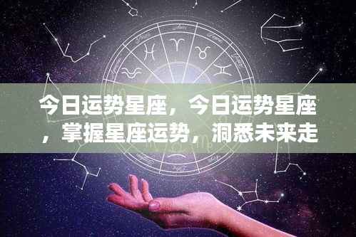 今日星座运势详解,掌握运势,洞悉未来走向