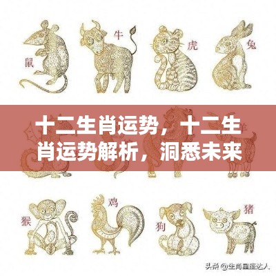 十二生肖运势深度解析,洞悉未来,把握好运之门