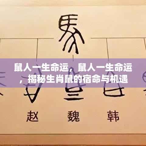 揭秘生肖鼠的命运轨迹与人生机遇,鼠人的宿命与机遇全解析