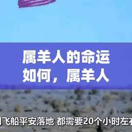 星辰指引下的属羊人命运探索,独特人生轨迹揭秘