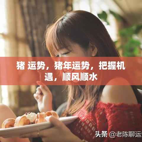 猪年运势揭秘,把握机遇,顺风顺水,开启好运之旅!