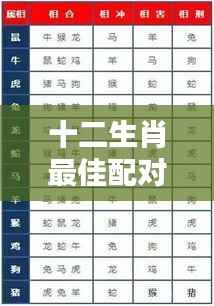 十二生肖最佳配对表格揭秘,深度解析生肖情缘