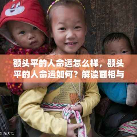 额头平的人命运解读,面相与命运之间的神秘关联