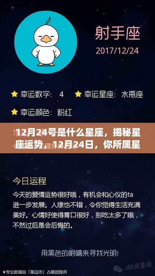 揭秘星座运势,12月24日所属星座的奥秘解读与运势揭秘