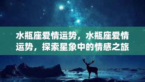 水瓶座爱情运势探索,星象中的情感之旅