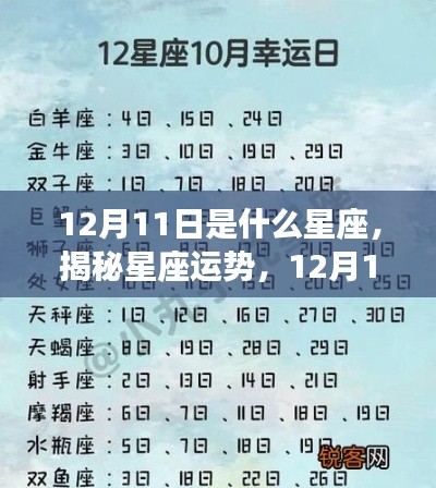 揭秘星座运势,12月11日星座运势详解