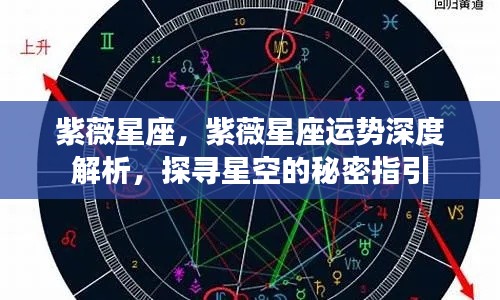紫薇星座深度解析,探寻星空指引,掌握运势秘密