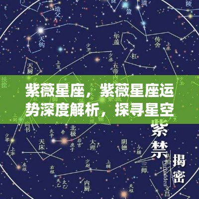 紫薇星座深度解析,探寻星空指引,掌握运势秘密