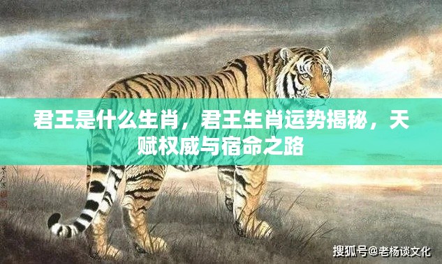 君王生肖运势揭秘,权威天赋与宿命之路的探索