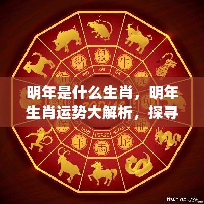 明年生肖运势揭秘,探寻属于你的未来篇章