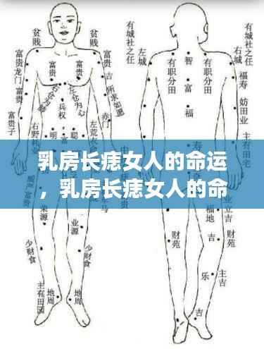 乳房长痣与星座运势,女性命运中的独特印记