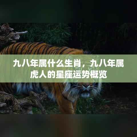 九八年属什么生肖,九八年属虎人的星座运势概览