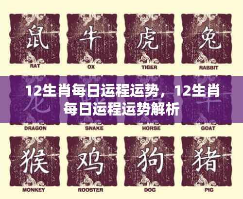 每日运势解析,十二生肖运势详解