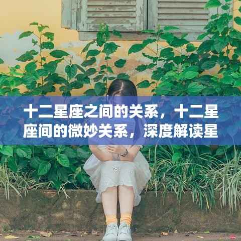 深度解读，十二星座间的微妙关系与相互作用