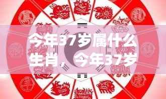 今年37岁属什么生肖?运势展望与个性深度解析