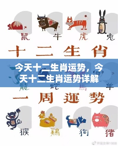 今日十二生肖运势详解