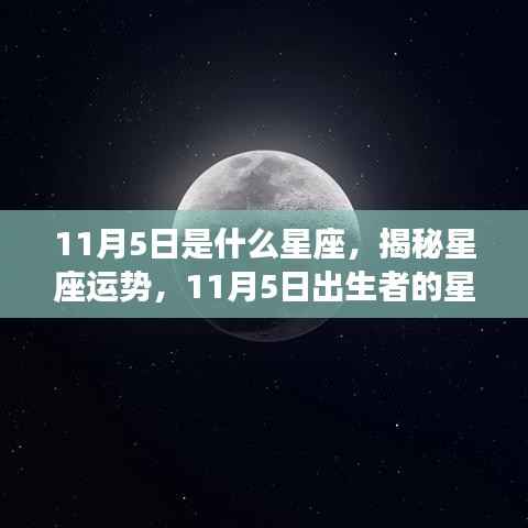 揭秘11月5日出生者的星座特征与运势