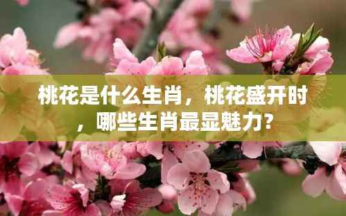 桃花生肖魅力揭秘,盛开之际哪些生肖独具魅力?