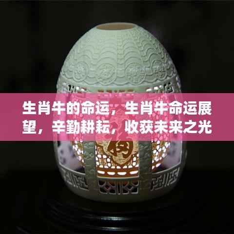 生肖牛命运展望,辛勤耕耘,未来收获希望之光