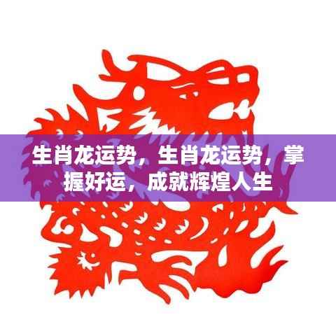 掌握生肖龙运势,成就辉煌人生之路