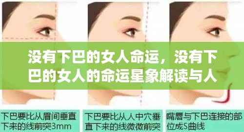 没有下巴的女人的命运解析与人生洞察