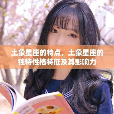 土象星座的独特性格特征及其影响力解析