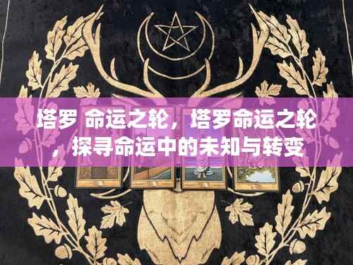 塔罗命运之轮,探寻命运中的未知与转变之旅