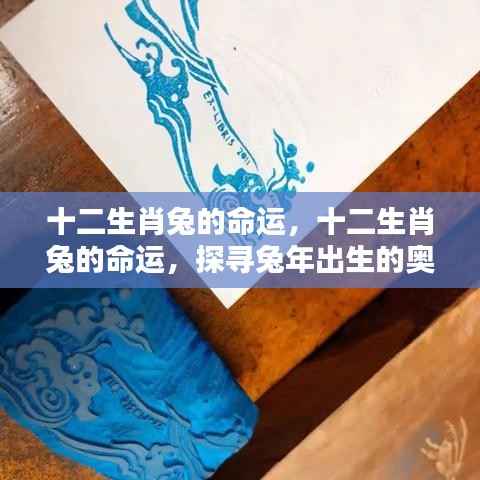探寻十二生肖兔的命运奥秘与未来走向,兔年出生人的命运解析