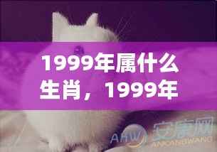 揭秘命运轨迹,1999年属兔人的生肖运势与人生机遇展望