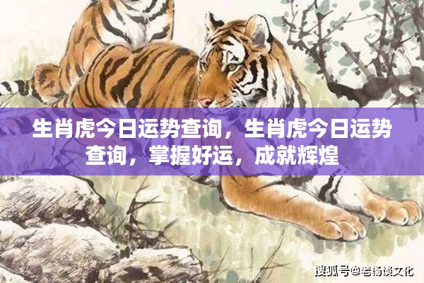 生肖虎今日运势详解,掌握好运势,迈向辉煌成就!