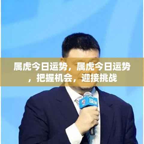 属虎今日运势揭秘,把握机遇,勇迎挑战