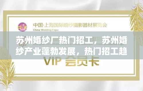 苏州婚纱产业蓬勃发展,婚纱厂热门招工趋势解析