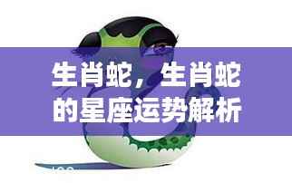 生肖蛇星座运势解析及展望