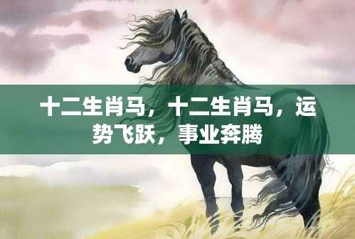 十二生肖马运势飞跃,事业奔腾不止