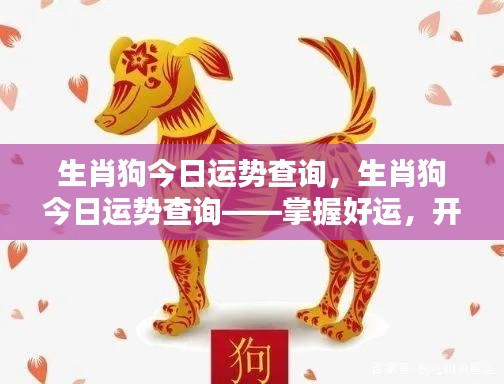 生肖狗今日运势详解,开启好运,活力满满的一天!
