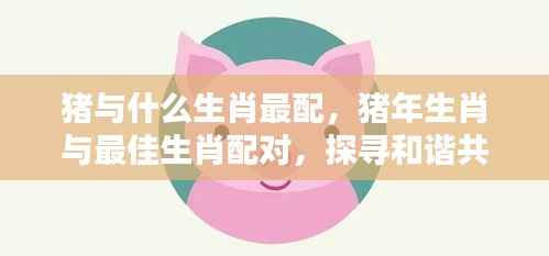 猪年生肖与最佳配对生肖,探寻和谐共生的奥秘之旅
