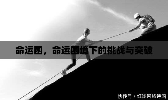 命运困境下的挑战与突破之路
