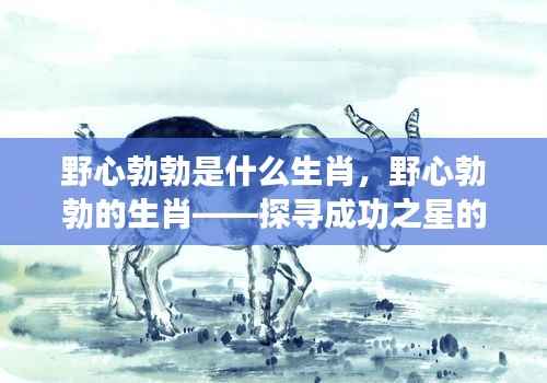 野心勃勃的生肖探寻，成功之星引领力量揭秘