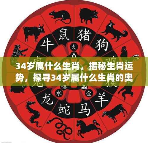 揭秘生肖运势,探寻属虎人在34岁的奥秘与未来展望