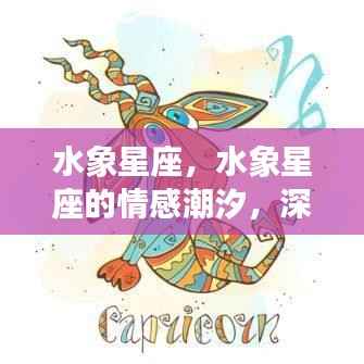 水象星座情感潮汐深度解读,巨蟹、天蝎与双鱼的运势展望
