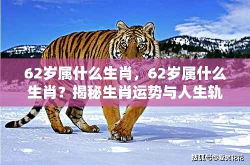揭秘生肖运势与人生轨迹,探寻62岁属相生肖的奥秘