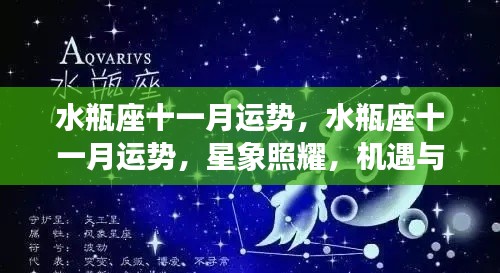 水瓶座十一月运势,星象照耀下的机遇与挑战并存
