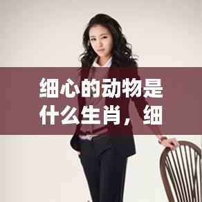 揭秘生肖中哪些动物最细心,生肖特质解析与洞察指南