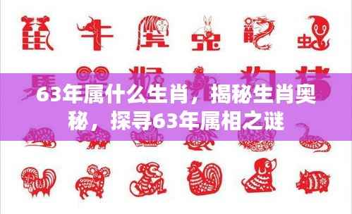 揭秘生肖奥秘,探寻1963年属相之谜——属兔还是属其他?