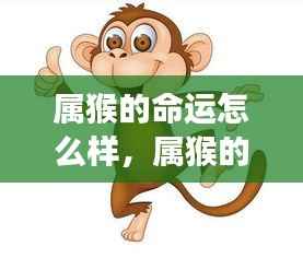 属猴人的命运解析与星座运势奥秘探索