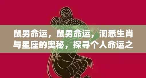 鼠男命运揭秘,探寻生肖与星座的奥秘,洞悉个人命运之路