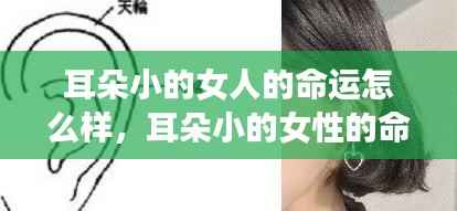 耳朵小的女性的命运解析与探讨